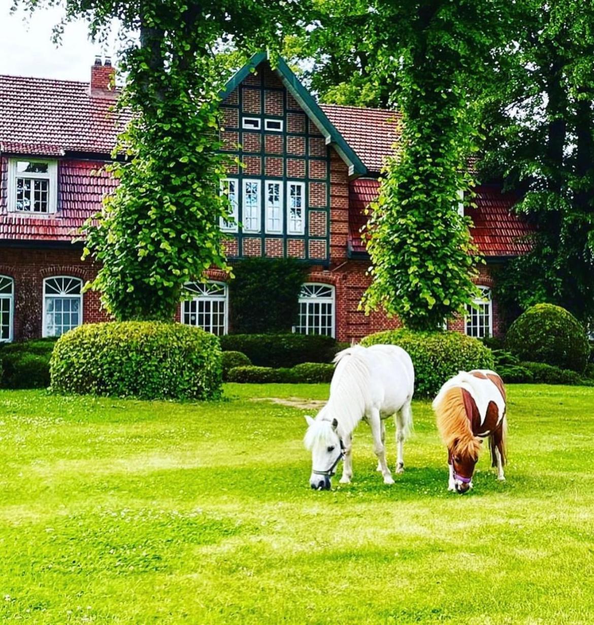 Hotel Hof Kirchhorst Gross Wittensee ภายนอก รูปภาพ